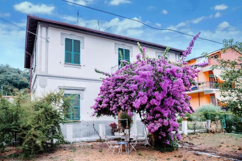 Property building, Spring, Day, Garden, Garden view