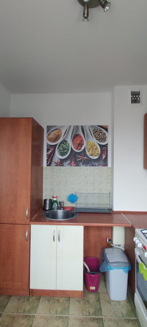Kitchen or kitchenette, kitchen