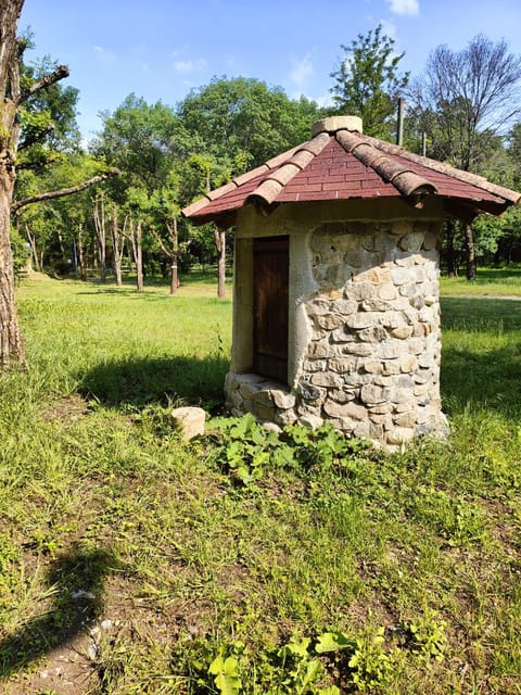 Natural landscape, Garden