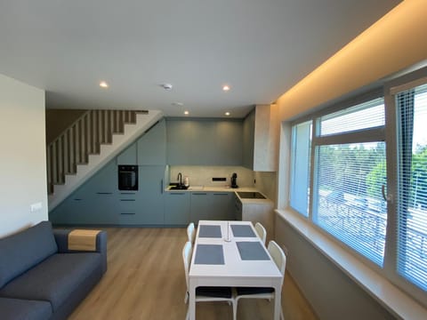 Living room, kitchen, kitchen