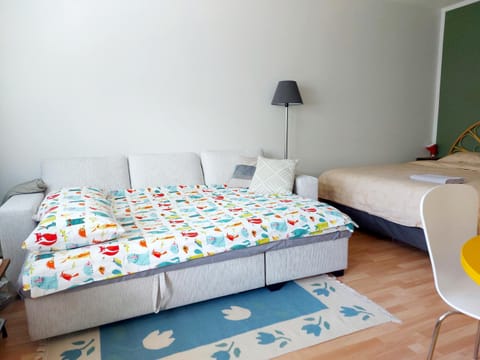 Studio Joensuu city center, balcony, free parking Apartment in Finland