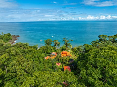 Bird's eye view, View (from property/room), Sea view