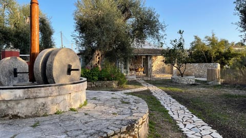 Patio, Garden, Garden view