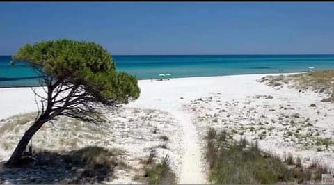 Casa di Ale House in Siniscola