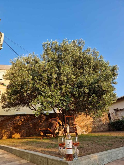 Day, Natural landscape, Garden, Garden view