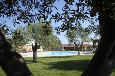 Garden view, Pool view, Swimming pool, sunbed
