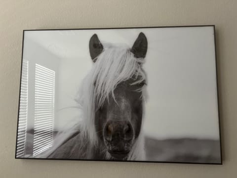 Cowtown 1 bedroom Downtown FTW Apartment in Fort Worth