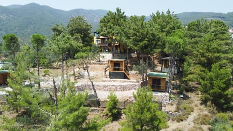 Property building, Day, Natural landscape, Bird's eye view, Mountain view
