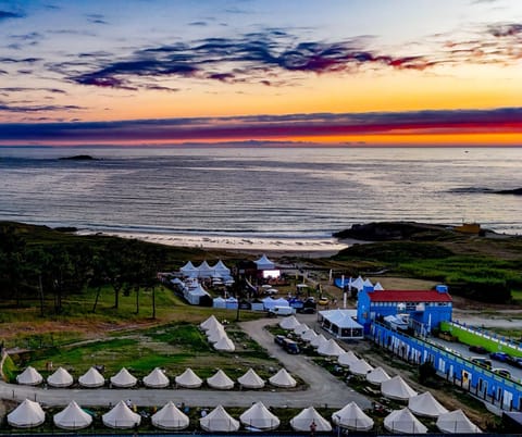 Beach, Sea view, Sunset