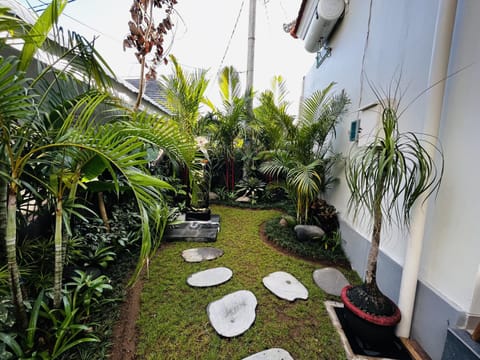 Cecillia Guesthouse Canggu Bed and Breakfast in North Kuta