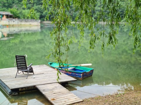 Natural landscape, Activities, Lake view