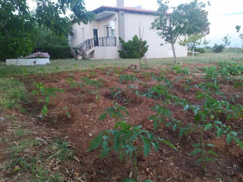 Property building, Spring, Garden