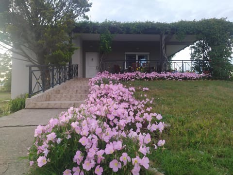 Property building, Spring