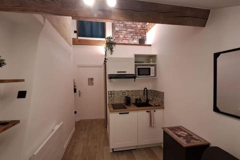 Petit-cocon proche centre-ville Apartment in Caluire-et-Cuire