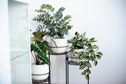 Apartman Karla Apartment in Split-Dalmatia County