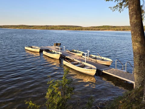 Lake Access! Twin Birch Resort - Kodiak Cabin Cabin in Lake Township