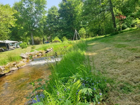 Spring, Natural landscape