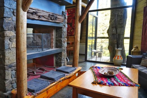 Living room, Seating area, Garden view, fireplace