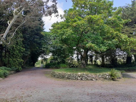 Swifts Nest House in Wales