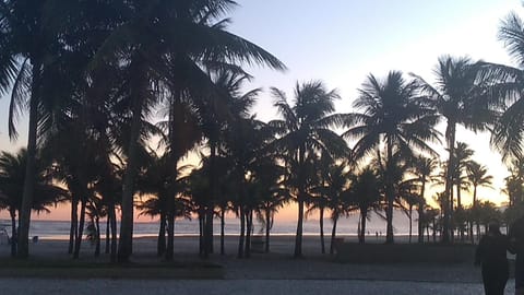 Natural landscape, Sunset