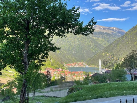 Lake view