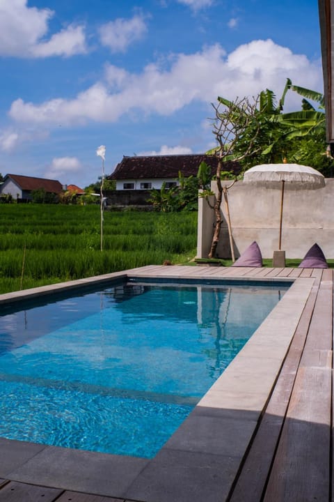 Backyard Canggu Bed and Breakfast in North Kuta