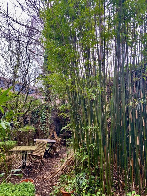 B&B Faja lobi Bed and Breakfast in Ghent