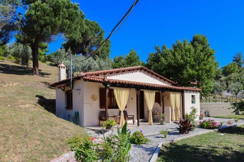 Property building, Garden, Garden view
