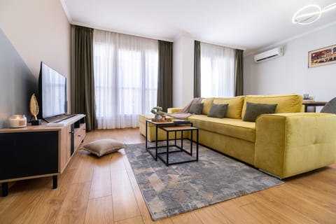 TV and multimedia, Living room, Photo of the whole room, Seating area, Family, air conditioner