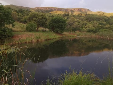 Natural landscape