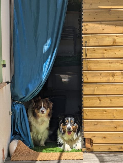 chalet proche de la mer Chalet in Hyères