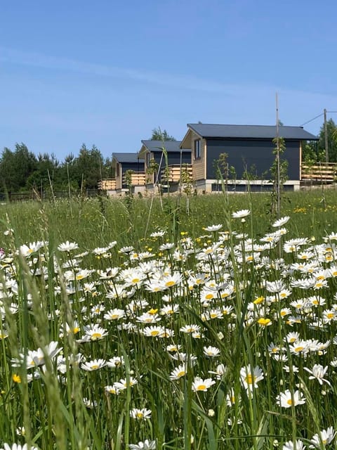 Property building, Garden, Garden view