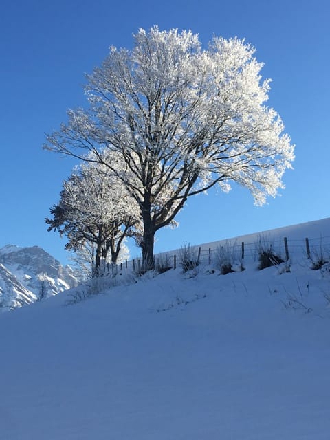 Natural landscape, Winter