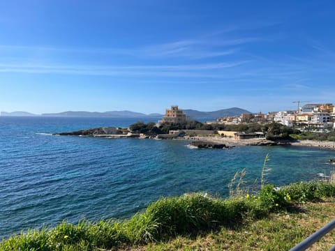 Nearby landmark, Beach