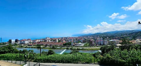 Day, Bird's eye view, View (from property/room), City view, Mountain view, River view, Sea view