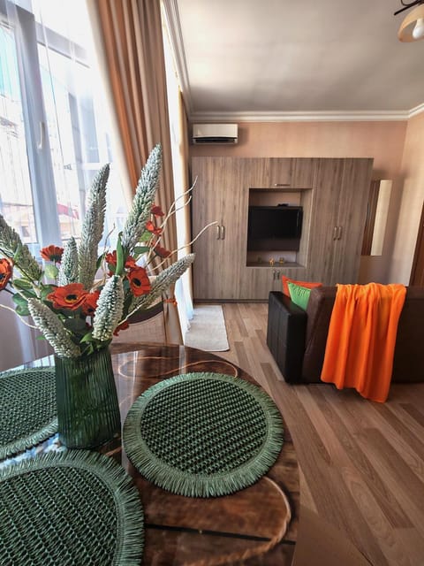 Communal lounge/ TV room, TV and multimedia, air conditioner