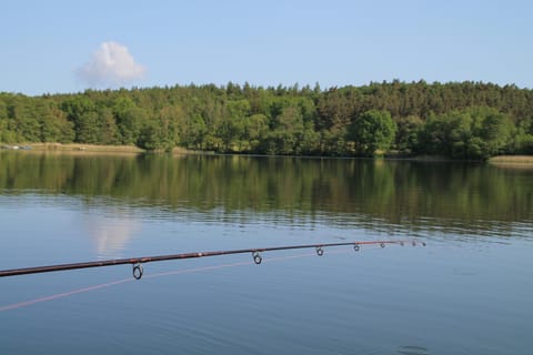 Lake view