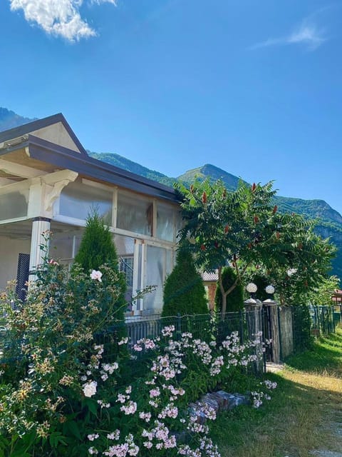 Spring, Day, Natural landscape, Summer