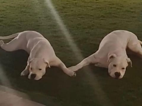 Cozy apartment in Nea Kios Apartment in Argolis, Greece