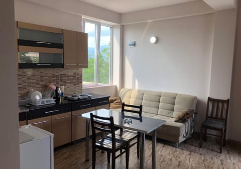 Kitchen or kitchenette, Living room, Seating area, Dining area, minibar, pet friendly, stove