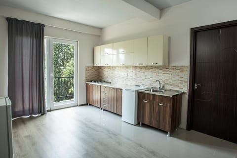 Balcony/Terrace, Kitchen or kitchenette, Seating area, Dining area, stove, washing machine