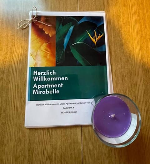 Apartment Mirabelle 3 Apartment in Saarbrücken