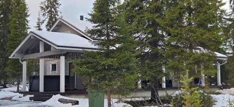 Wellamo Villa in Lapland