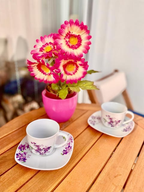 Lucija Apartment in Šibenik-Knin County, Croatia