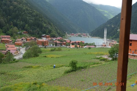 Summer, Balcony/Terrace, On site, Lake view