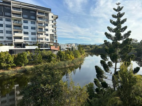 Lake view