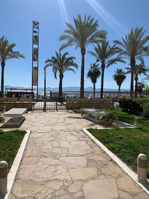 Day, Beach, Garden view, Sea view