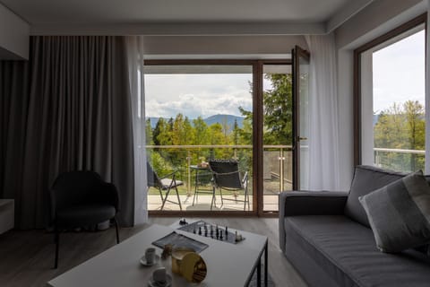 Balcony/Terrace, Seating area, Mountain view