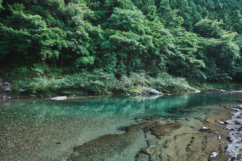 Natural landscape