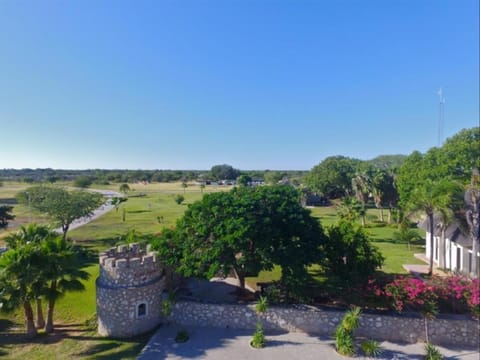Bird's eye view, Garden view